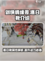 剑侠情缘零🔥逐日靴超详细解析来啦！