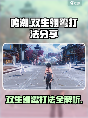 鸣潮⚡双生翎鹭打法分享，轻松通关秘籍！🔥截图1