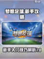 梦想足球新手攻略介绍