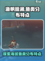渔帆暗涌各海域鱼类分布特点说明介绍