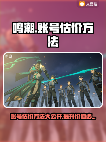鸣潮账号估价大揭秘！🔥必备估价平台推荐🎉截图1