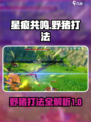 星痕共鸣野猪怎么打介绍