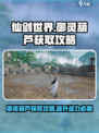 仙剑世界御灵葫芦获取攻略介绍