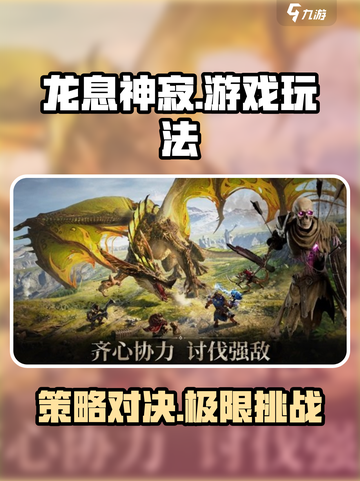 龙息神寂是哪个公司的介绍截图1