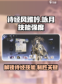 《咏月风雅诗经》技能大揭秘💥游戏党必看！🔥