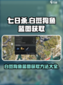 七日世界白斑狗鱼蓝图怎么获得介绍