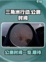 三角洲行动手游什么时候公测介绍