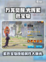 万龙觉醒光辉紫色宝物技能属性介绍