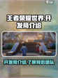 王者荣耀世界开发商是谁介绍