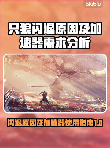 只狼闪退怎么办？只狼加速器推荐🔥🎮截图1