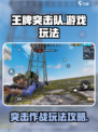 王牌突击队是什么游戏介绍