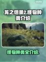 龙之信条2🔥怪物种类大全，玩家必看！