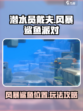 潜水员戴夫风暴鲨鱼在哪介绍