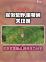 挨饿荒野攻略大全介绍