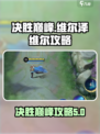 决胜巅峰维尔攻略介绍
