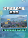 和平精英春节版本2025介绍介绍