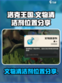 洛克王国世界文物清洁剂在哪介绍