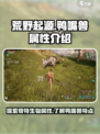 荒野起源鸭嘴兽属性是什么介绍