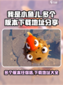 我是小鱼儿🔥多版本下载链接分享🎉