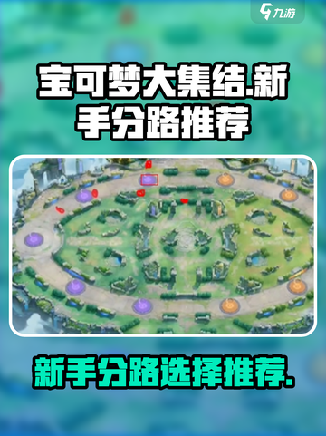 宝可梦大集结区域选择介绍截图1