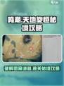 鸣潮⚡天地旋恒秘境图案谜题超简单破解方法分享！