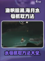 海月水母渔帆暗涌如何抓介绍