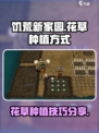 饥荒新家园怎么种花草介绍