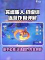 龙魂旅人🔥初级训练营超全作用解析来了！