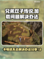 兄弟双子传说重制版卡顿✅加载不了怎么办？