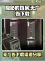 隐秘的档案🔥无广告下载渠道大公开！🎮