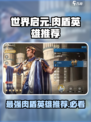 世界启元肉盾英雄有哪些介绍