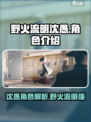 野火流明沈愚怎么样介绍