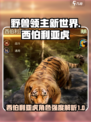 野兽领主新世界西伯利亚虎怎么样介绍