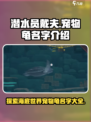 潜水员戴夫宠物龟名字介绍介绍