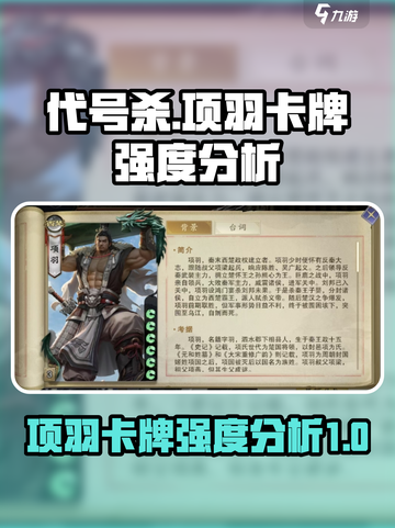 代号杀项羽好用吗介绍截图1