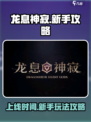 龙息神寂🔥国服上线！新手必看攻略👉