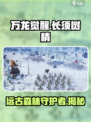 万龙觉醒长须树精是什么单位介绍
