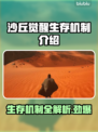 沙丘觉醒：揭秘游戏生存机制，玩家必看！🔥🎮
