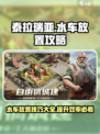 泰拉贝尔水车攻略介绍