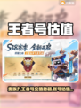 🎮贵族九王者账号估值平台推荐！💰充多少能成王者？