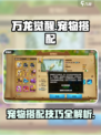 万龙觉醒宠物怎么搭配介绍
