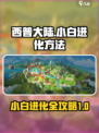西普大陆手游小白进化方法介绍