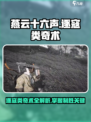 燕云十六声逐寇类奇术一览介绍
