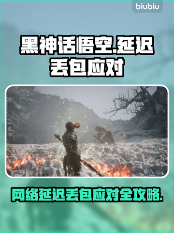 🎮黑神话悟空延迟丢包？一招解决卡顿！截图1