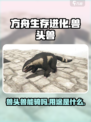 方舟生存进化手游兽头兽能骑吗介绍