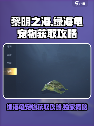 黎明之海🔥绿海龟宠物获取攻略💎截图1