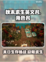 秋末求生英文名曝光，Steam玩家有福了！🎮🔥