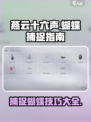 燕云十六声🔥抓蝴蝶全攻略🦋