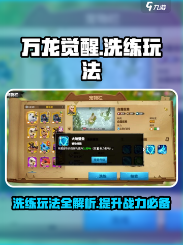 万龙觉醒洗练是什么介绍截图1
