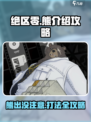 绝区零熊介绍介绍